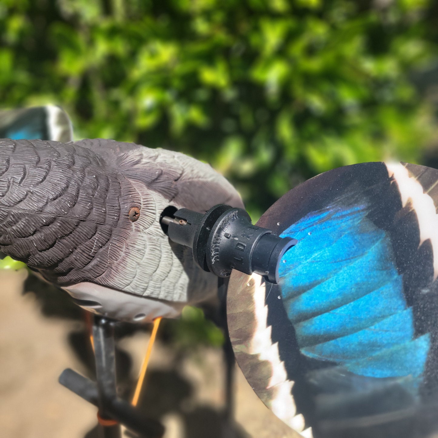 Animator V2 for Super Lucky Duck