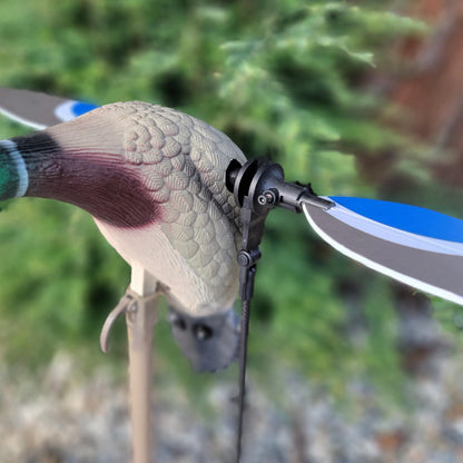 Animator V2 for Mojo Baby & Original Teal